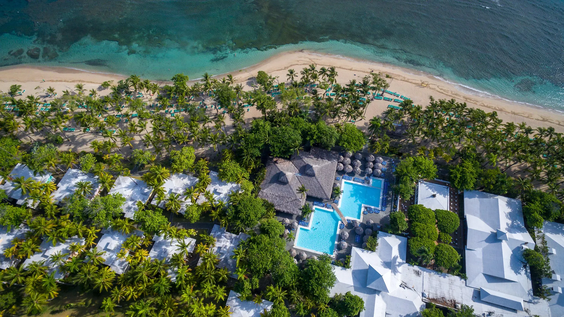 Playabachata Puerto Plata